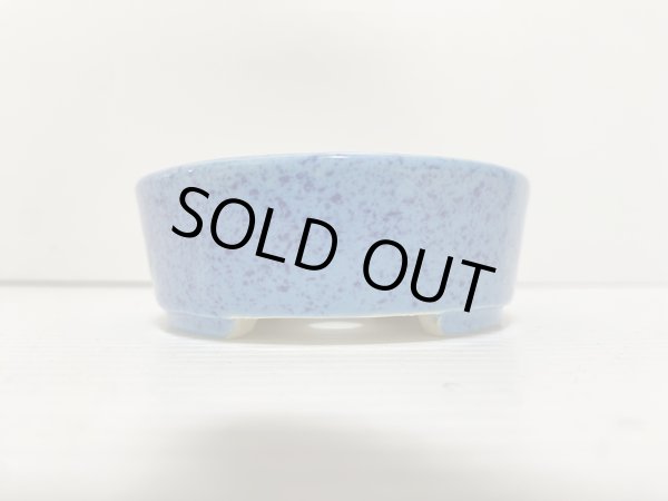 Photo3: No.DA5441 koyo (3)