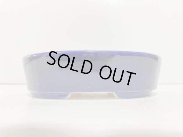 Photo2: No.DA5442 koyo (2)