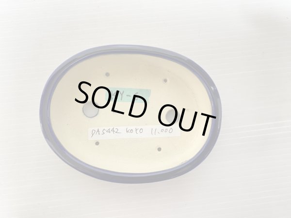 Photo4: No.DA5442 koyo (4)