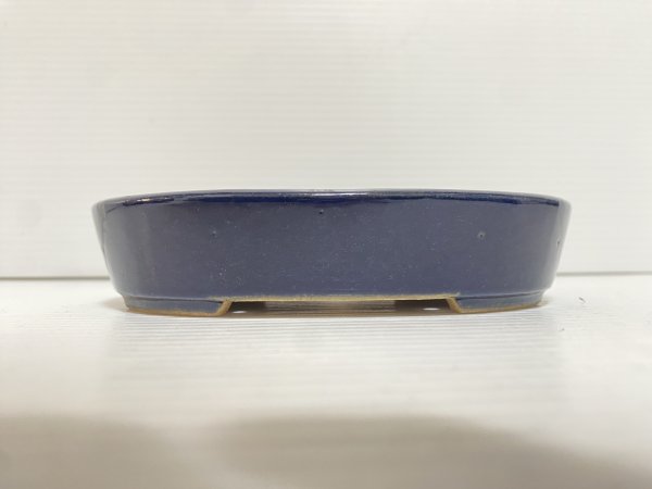 Photo2: No.DA5446 Reiho (2)