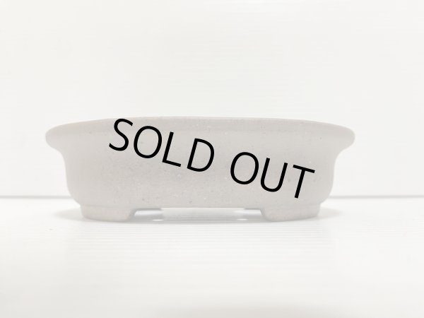 Photo2: No.DA5449 Reiho (2)