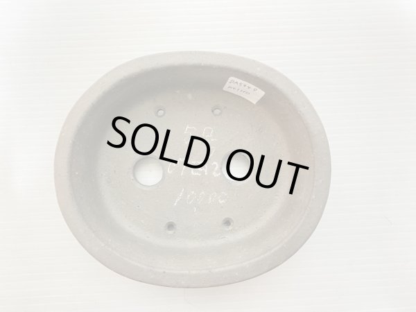 Photo3: No.DA5449 Reiho (3)