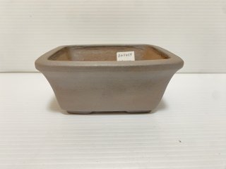 Bonsai pots | Bonsai Network Japan (Page 1)