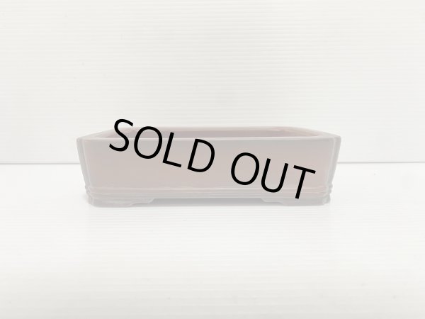 Photo2: No.DA5461 Bigei (2)