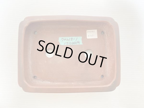 Photo3: No.DA5461 Bigei (3)