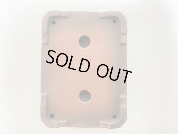 Photo4: No.DA5461 Bigei (4)