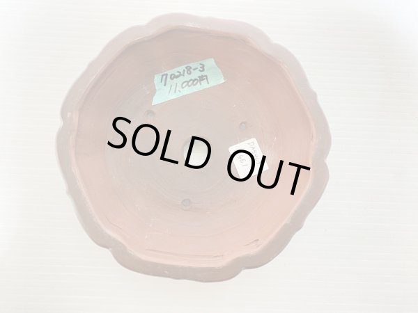 Photo3: No.DA5463 Bigei (3)