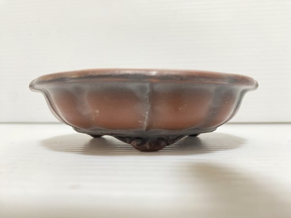 Photo2: No.DA5464 Bigei (2)