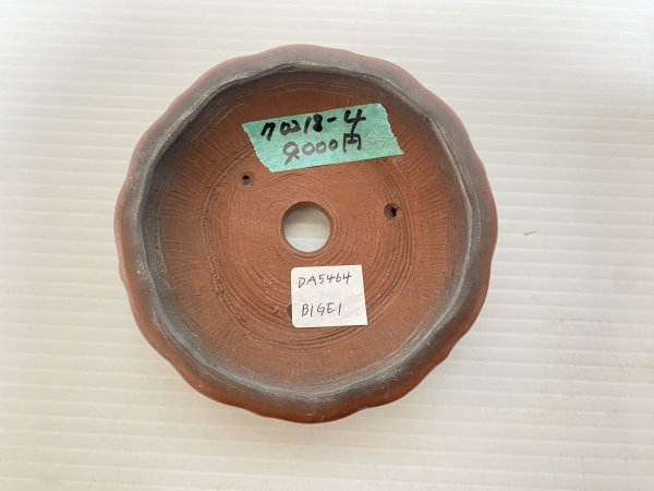 Photo3: No.DA5464 Bigei (3)