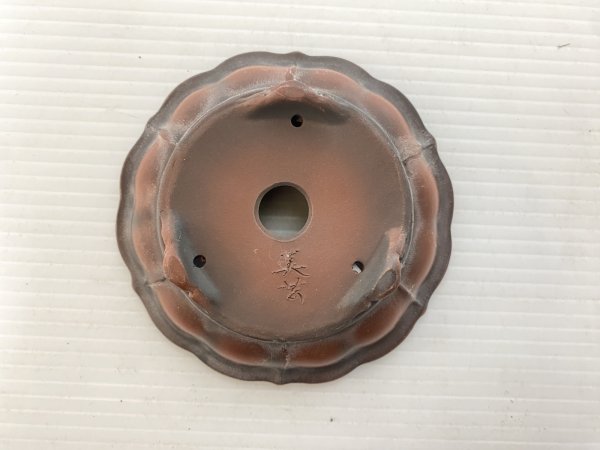 Photo4: No.DA5464 Bigei (4)