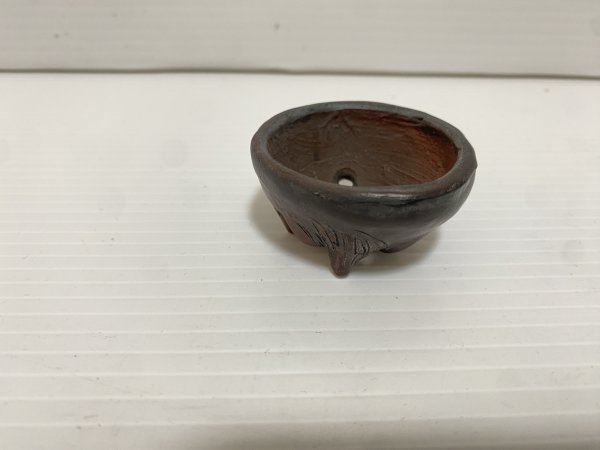 Photo2: No.DA5465 Bigei (2)