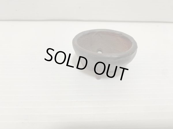 Photo2: No.DA5465 Bigei (2)