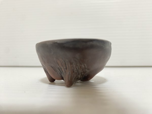 Photo3: No.DA5465 Bigei (3)