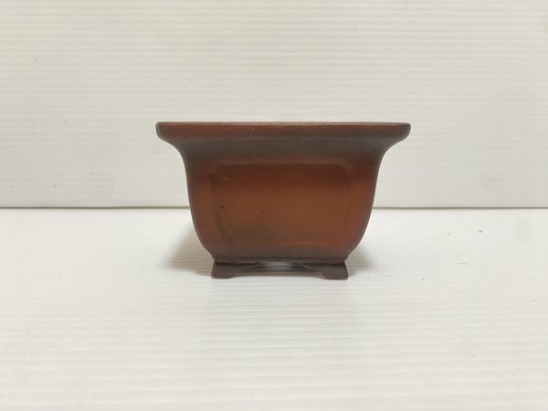 Photo2: No.DA5466 Bigei (2)