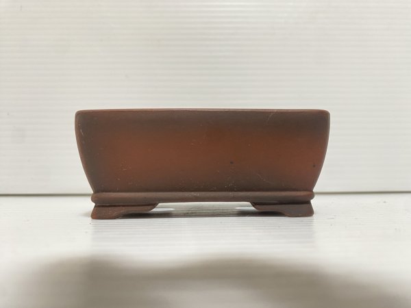 Photo2: No.DA5467 Bigei (2)