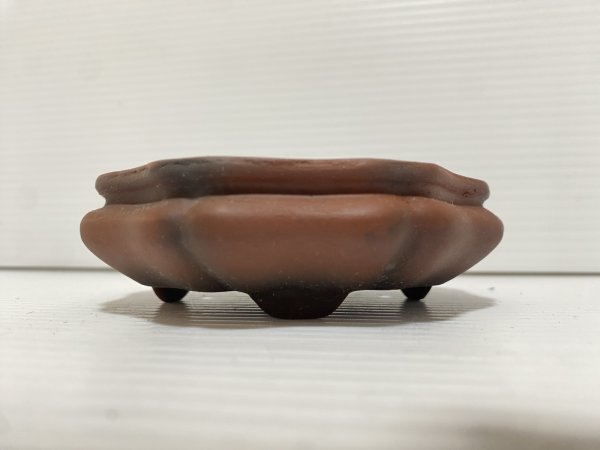 Photo2: No.DA5469 Bigei (2)