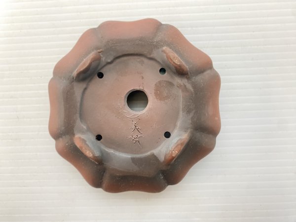 Photo4: No.DA5469 Bigei (4)