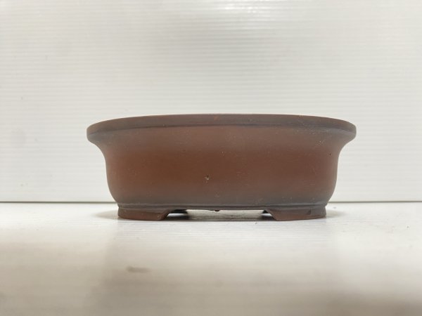 Photo2: No.DA5471 Bigei (2)