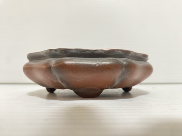 Photo2: No.DA5473 Bigei (2)