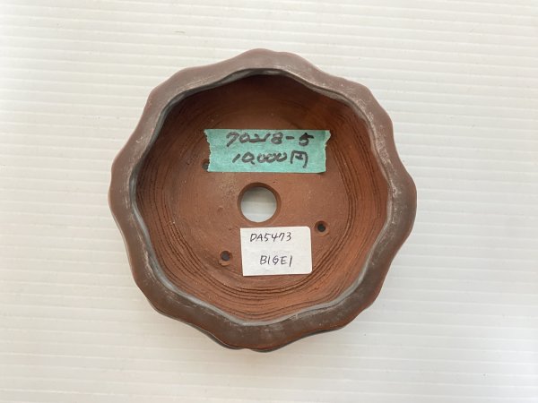 Photo3: No.DA5473 Bigei (3)