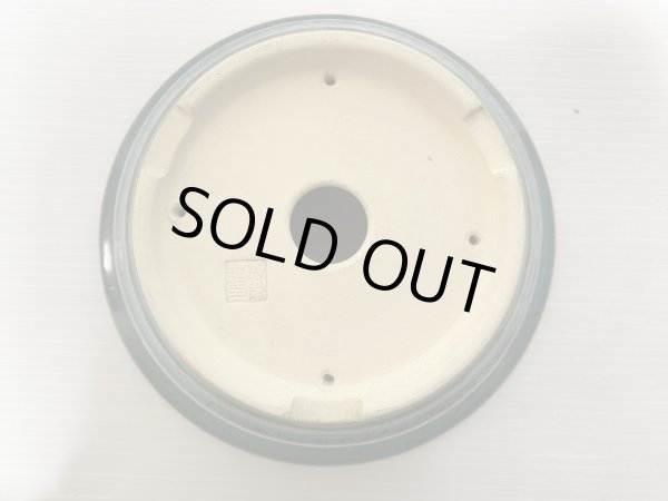 Photo4: No.DA5409 koyo (4)