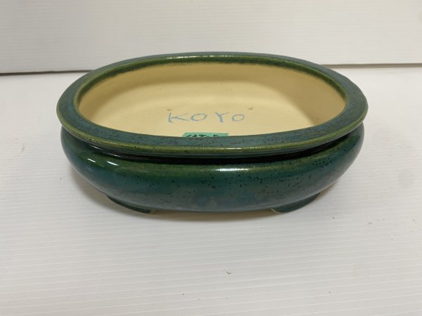 Photo1: No.DA5475 koyo (1)
