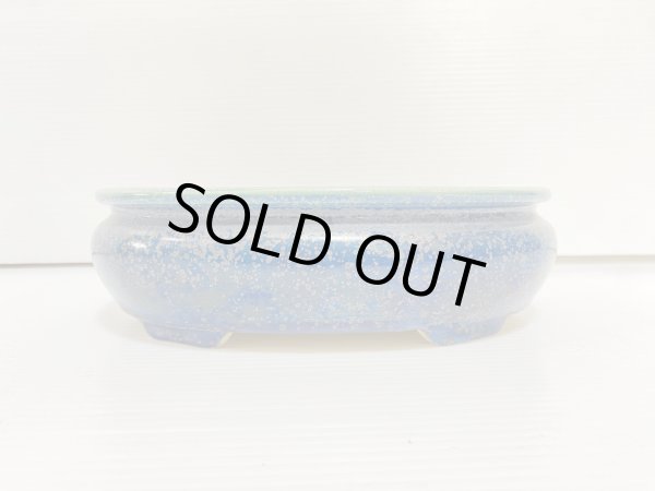 Photo2: No.DA5476 koyo (2)