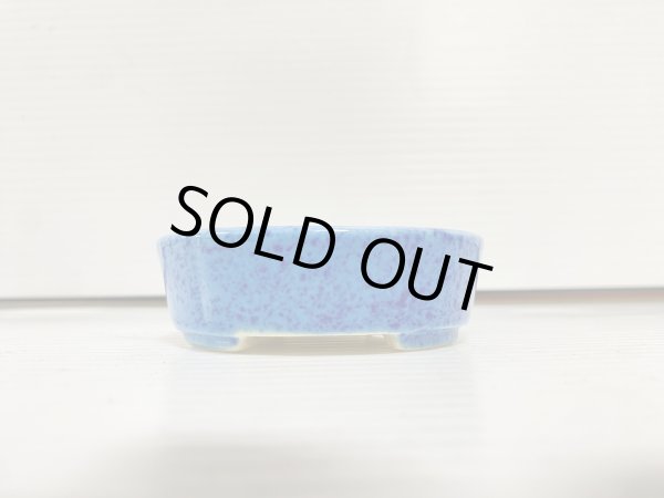 Photo2: No.DA5479 koyo (2)