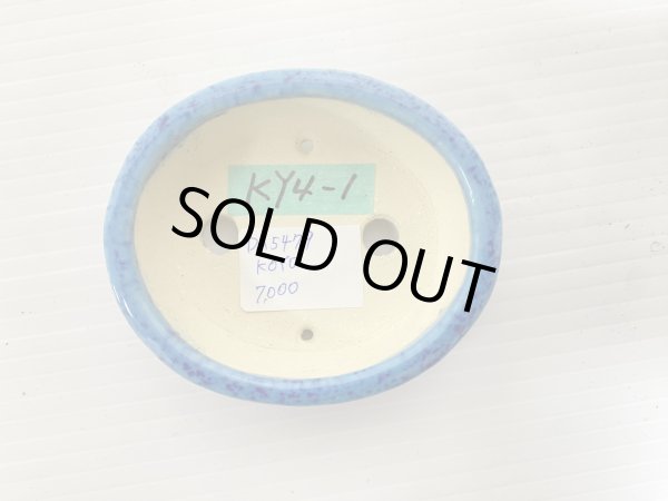 Photo3: No.DA5479 koyo (3)