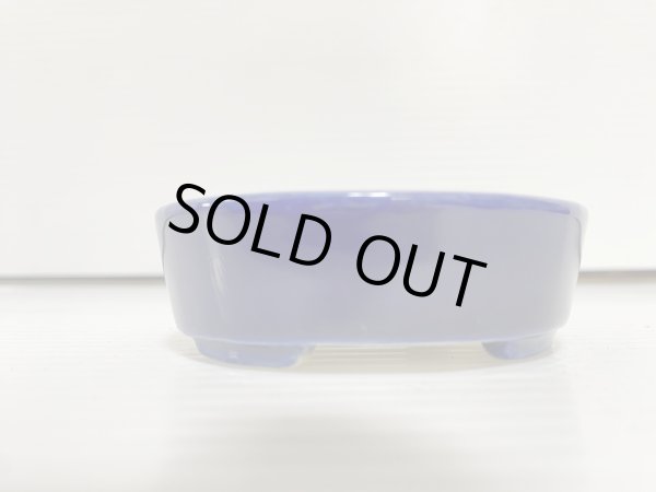 Photo2: No.DA5480 koyo (2)