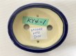 Photo3: No.DA5480 koyo (3)