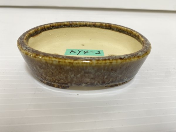 Photo1: No.DA5481 koyo (1)