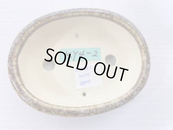 Photo3: No.DA5481 koyo (3)