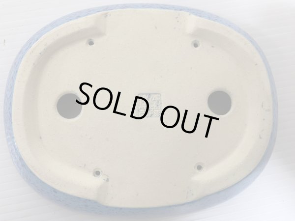 Photo4: No.DA5482 koyo (4)