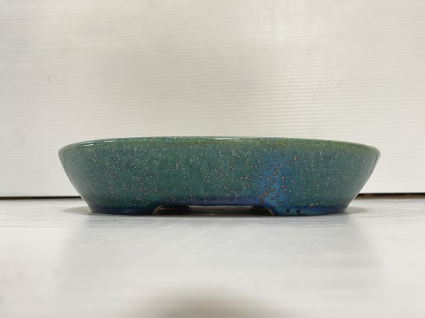 Photo2: No.DA5486 koyo (2)