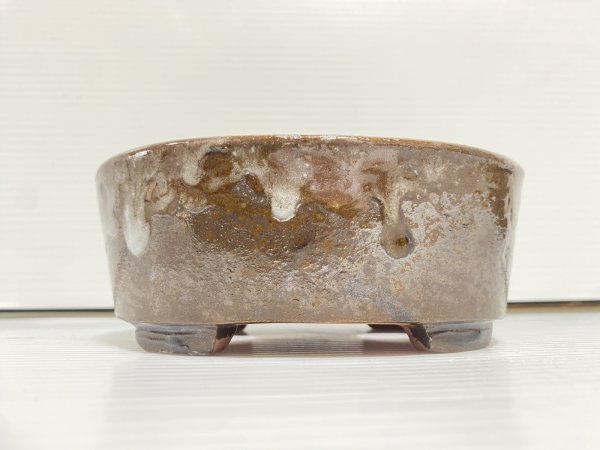 Photo2: No.DA5490 shuho (2)