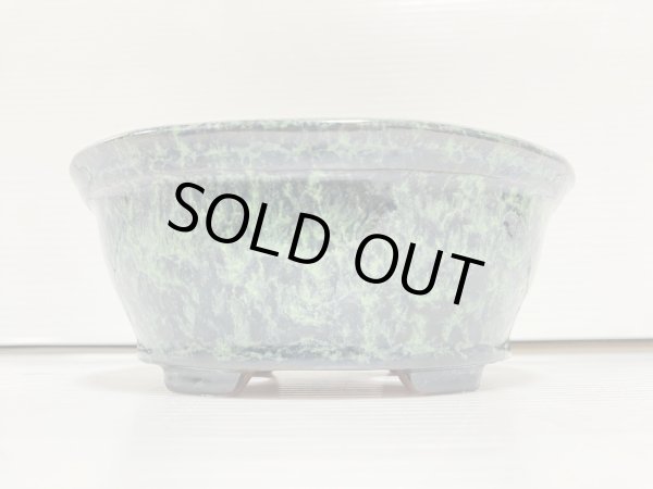 Photo2: No.DA5491 shuho (2)