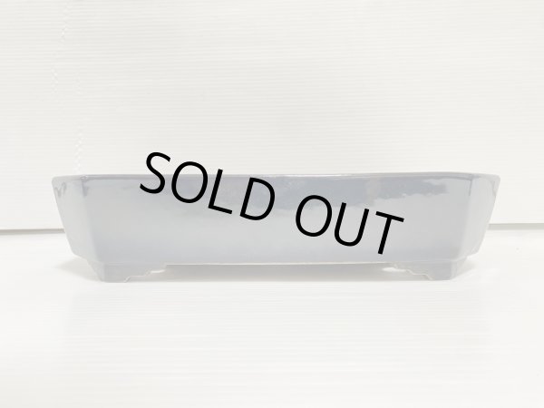 Photo2: No.DA5499 yamafusa (2)