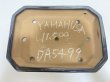 Photo3: No.DA5499 yamafusa (3)