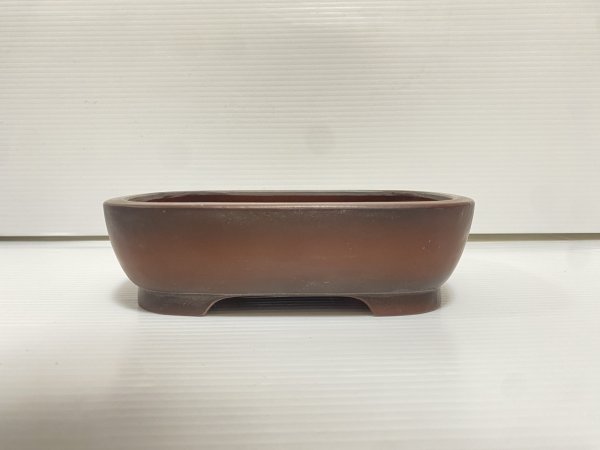 Photo2: No.DA54111 Bigei (2)