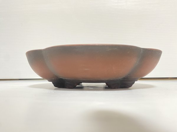 Photo2: No.DA54112 Bigei (2)