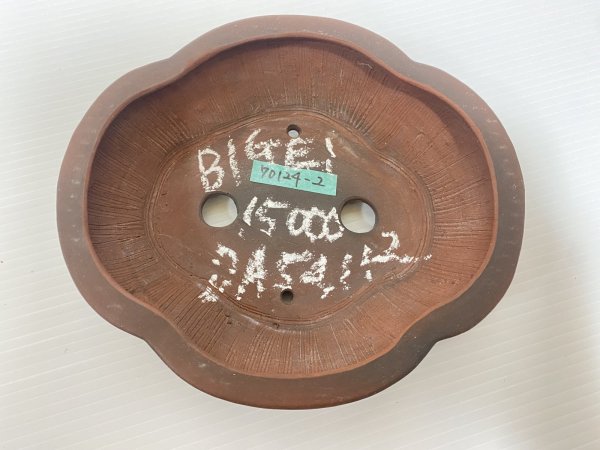 Photo3: No.DA54112 Bigei (3)