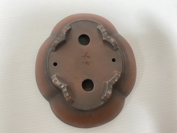 Photo4: No.DA54112 Bigei (4)