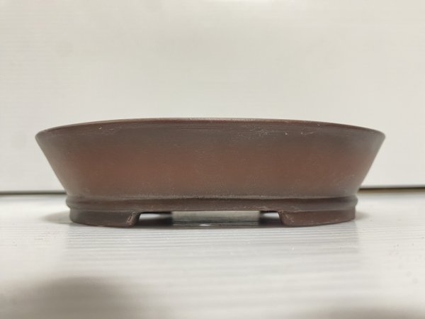 Photo2: No.DA54114 Bigei (2)