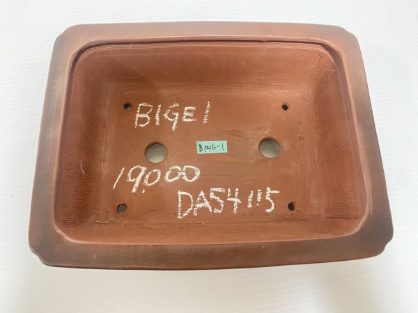 Photo3: No.DA54115 Bigei (3)