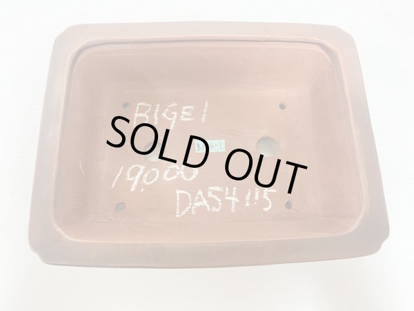 Photo3: No.DA54115 Bigei (3)