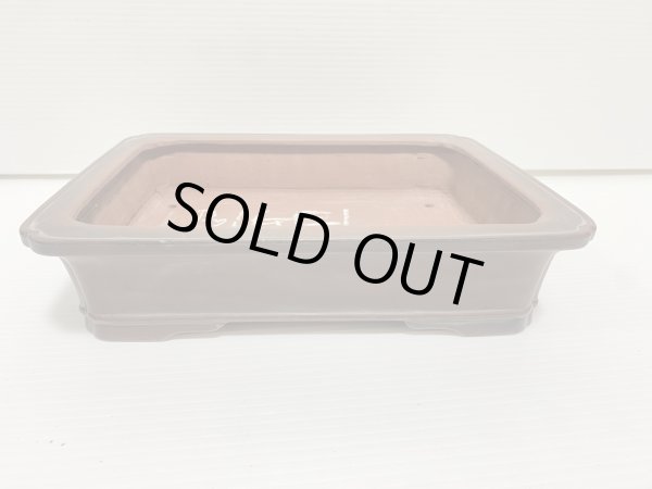 Photo1: No.DA54116 Bigei (1)