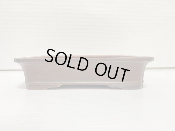 Photo2: No.DA54116 Bigei (2)