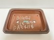 Photo3: No.DA54116 Bigei (3)