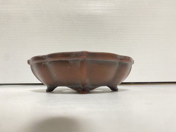 Photo2: No.DA54117 Bigei (2)